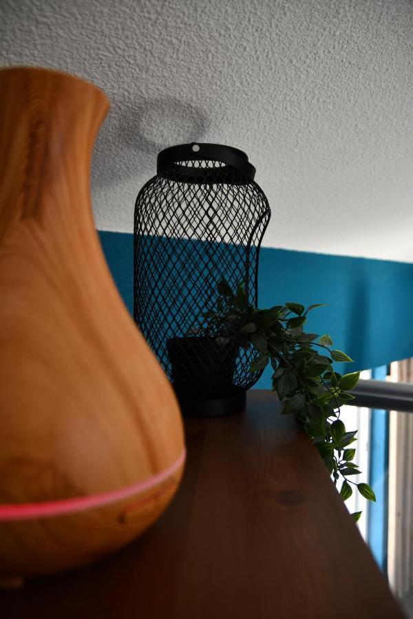 Appartement "Sacha" Au Calme En Hypercentre De Revel Revel  Exteriér fotografie