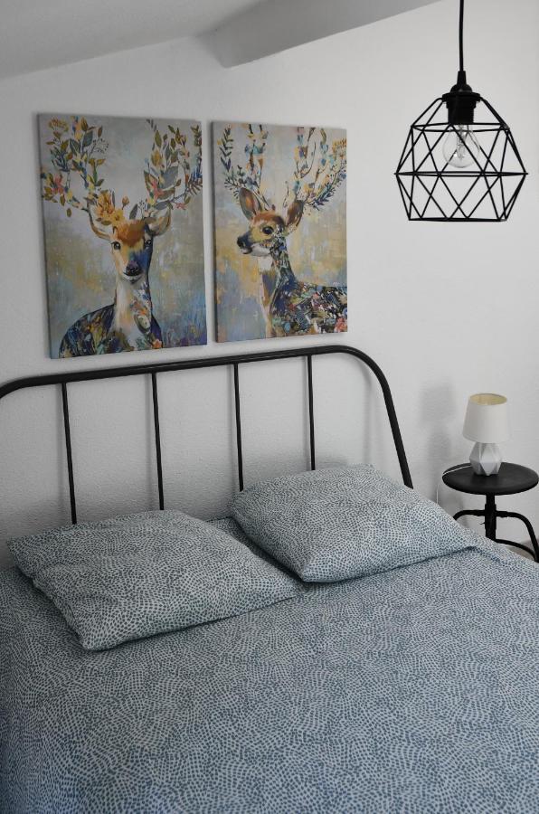 Appartement "Sacha" Au Calme En Hypercentre De Revel Revel  Exteriér fotografie
